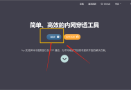 在Linux系统上搭建自己的FRP内网穿透